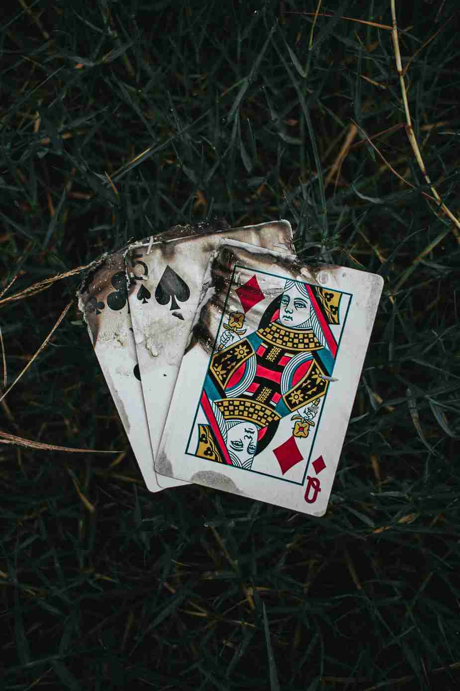 Crazy winners casino Crazy winners casino